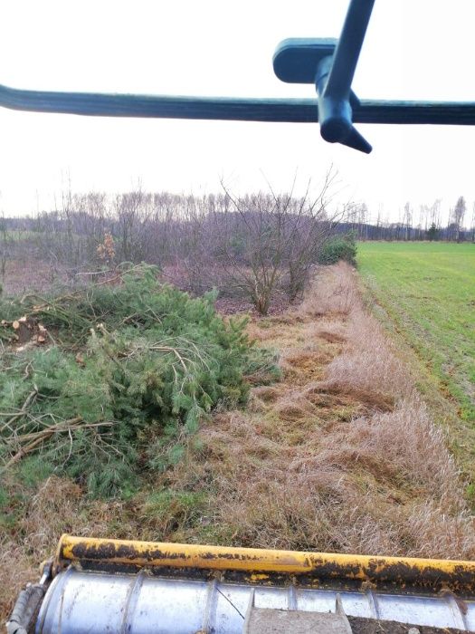 Czyszczenie Działek. MULCZER LEŚNY. Rekultywacja Terenu