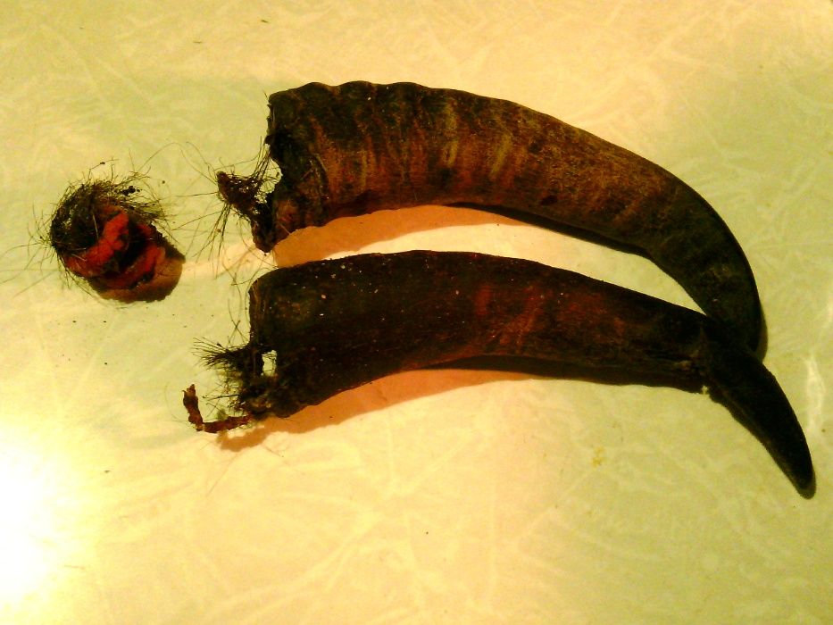 Гумки, резинки, латексні кільця для обезрожування і кастрації.