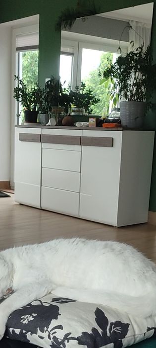 Komoda wysoki połysk drewno