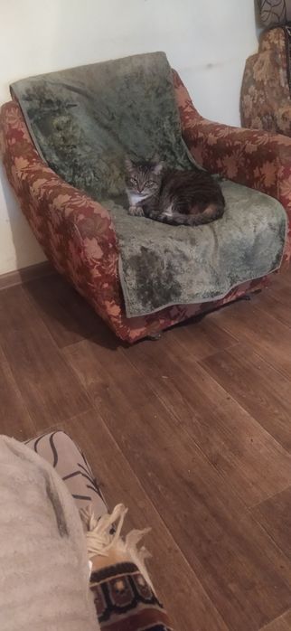 Кресло мягкое б/у