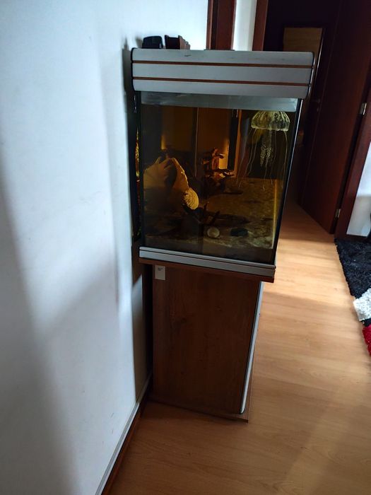 Vendo aquário com movel