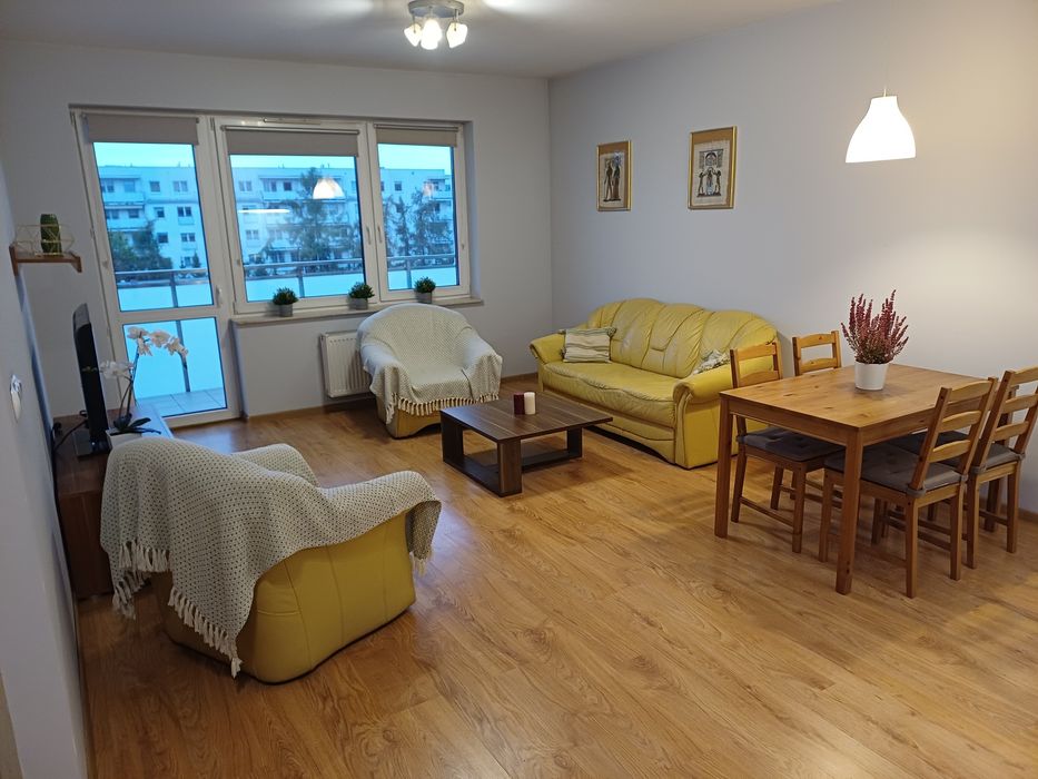 Mieszkanie na wynajem 45m2 - Nowe Sady 87 przy Obywatelskiej