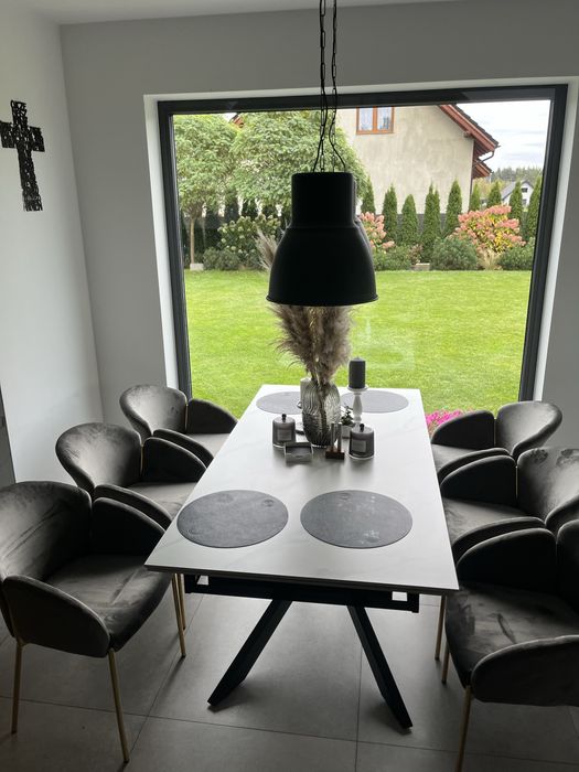 Zestaw 6 ciu krzeseł w szarym welurowym kolorze na złotych nogach