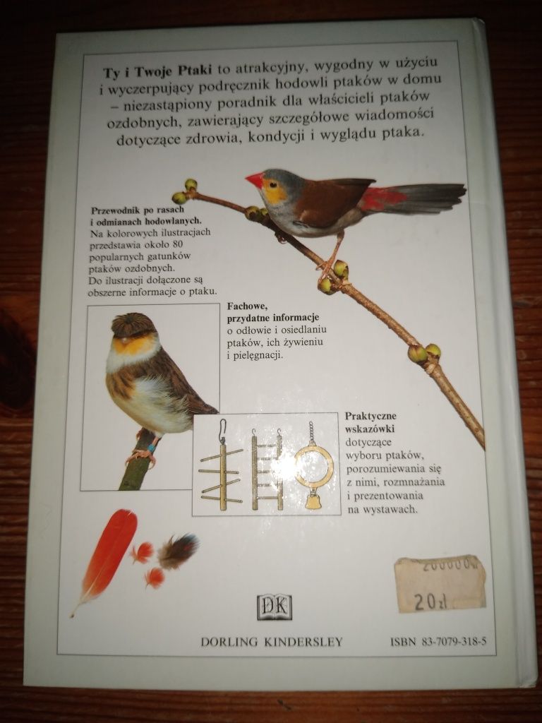 Ty i twoje ptaki David Alderton poradnik