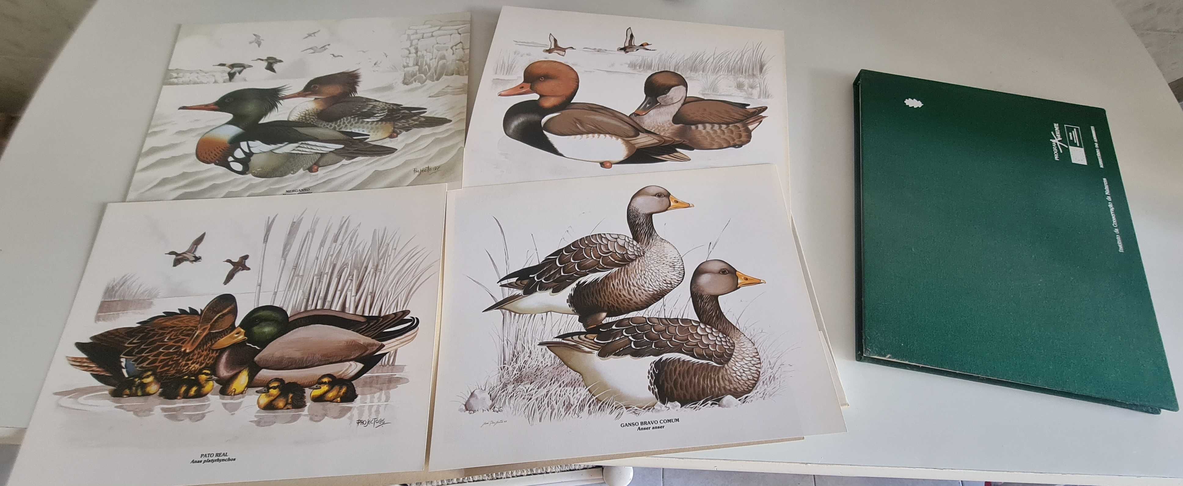 Livro Os Patos (com 4 ilustrações para emoldurar)