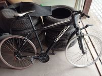 Rower Indiana X-Pulser 1.9