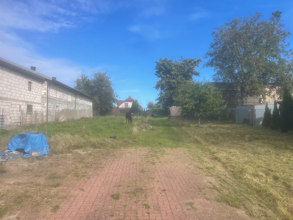 Wynajmę działkę w Dębogórzu