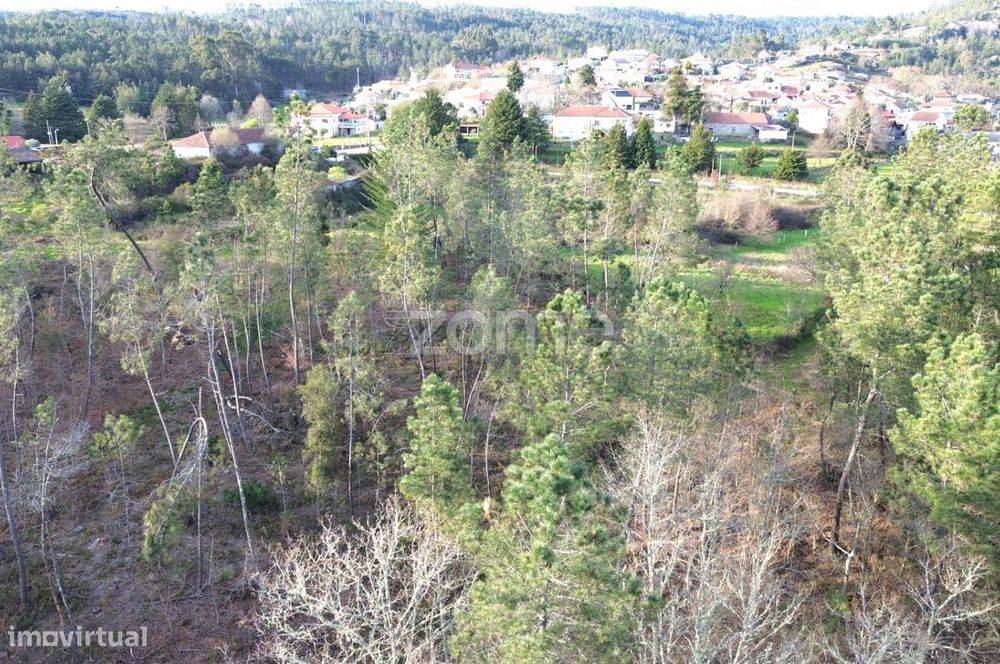 Terreno em Vale Do Bacelo - Almargem 1376m2