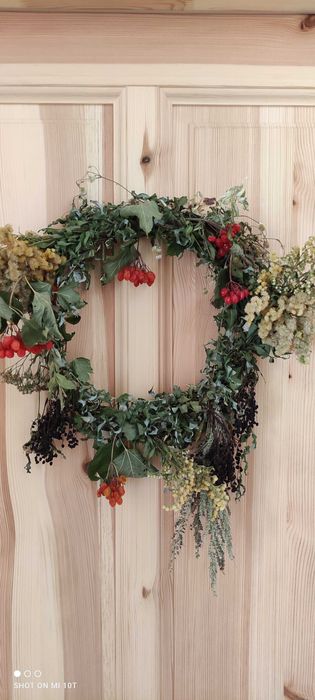 Pokój do wynajęcia w Borzęcinie ( 32-825 Borzęcin), 15 min od Brzeska