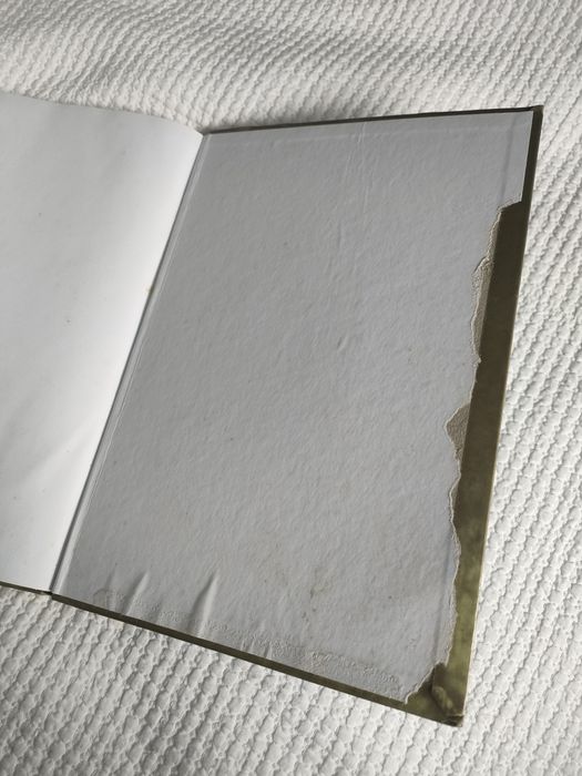 Livro "Fátima 1.9.1.7-2.0.1.7: Livro de Ouro",