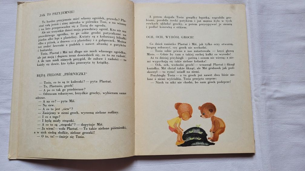 Za żywopłotem  o Plastusiu