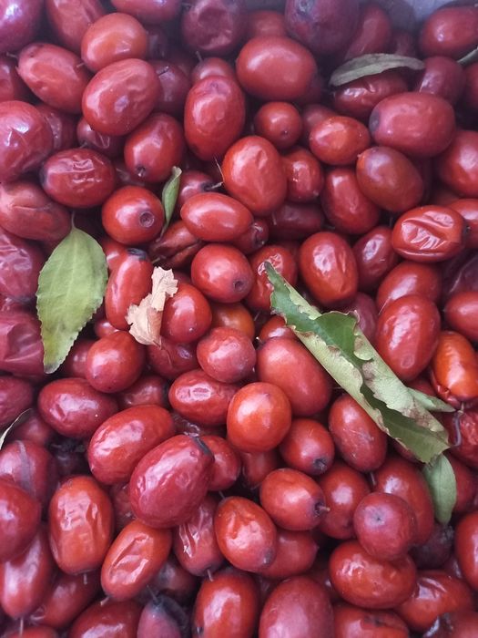 Унабі ягоди та саджанці