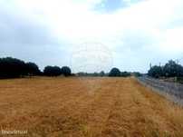 Terreno  para venda