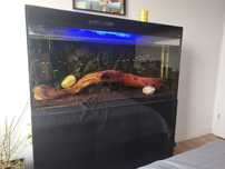 Akwarium Aquael glossy 260 litrów