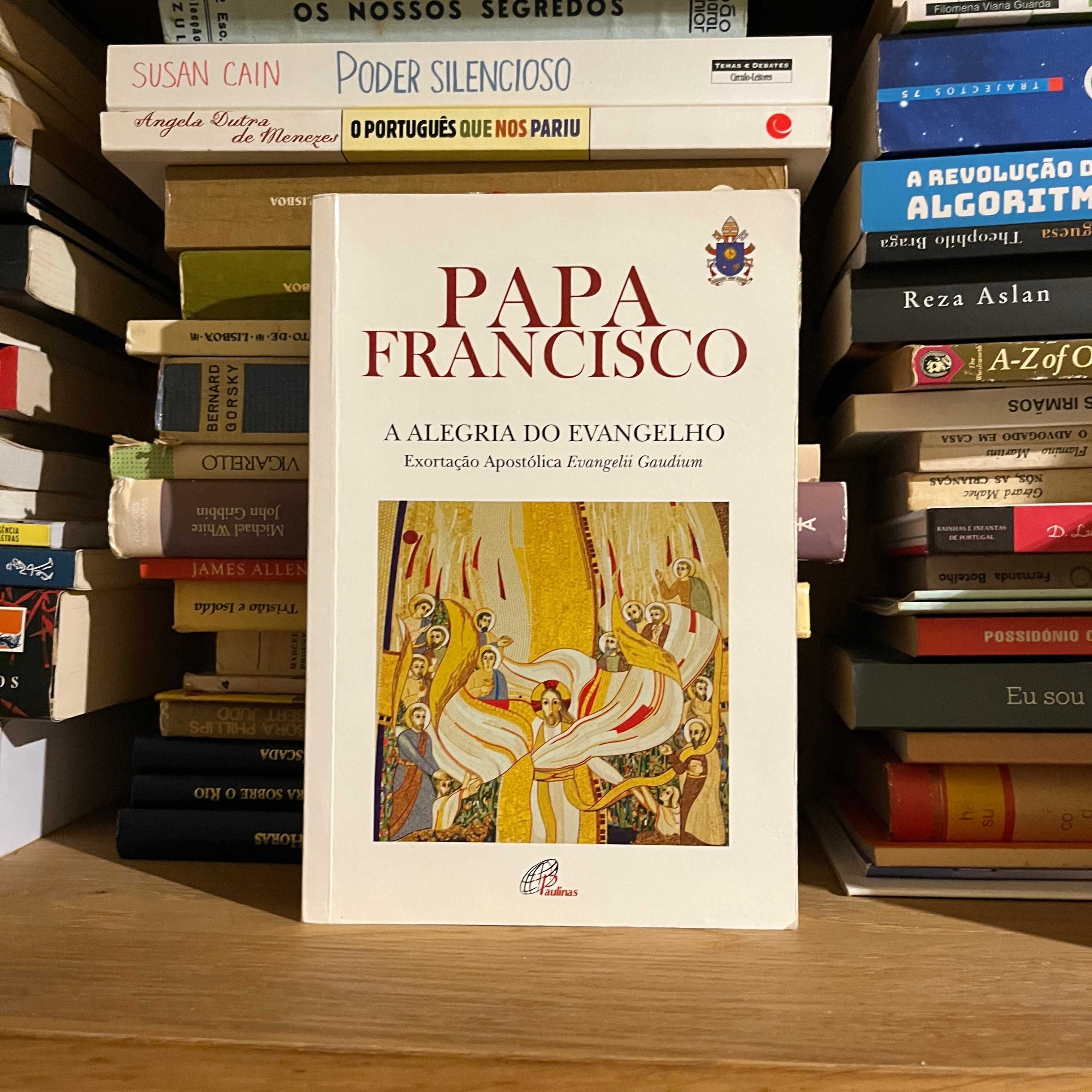 Papa Francisco - A Alegria do Evangelho (envio grátis)