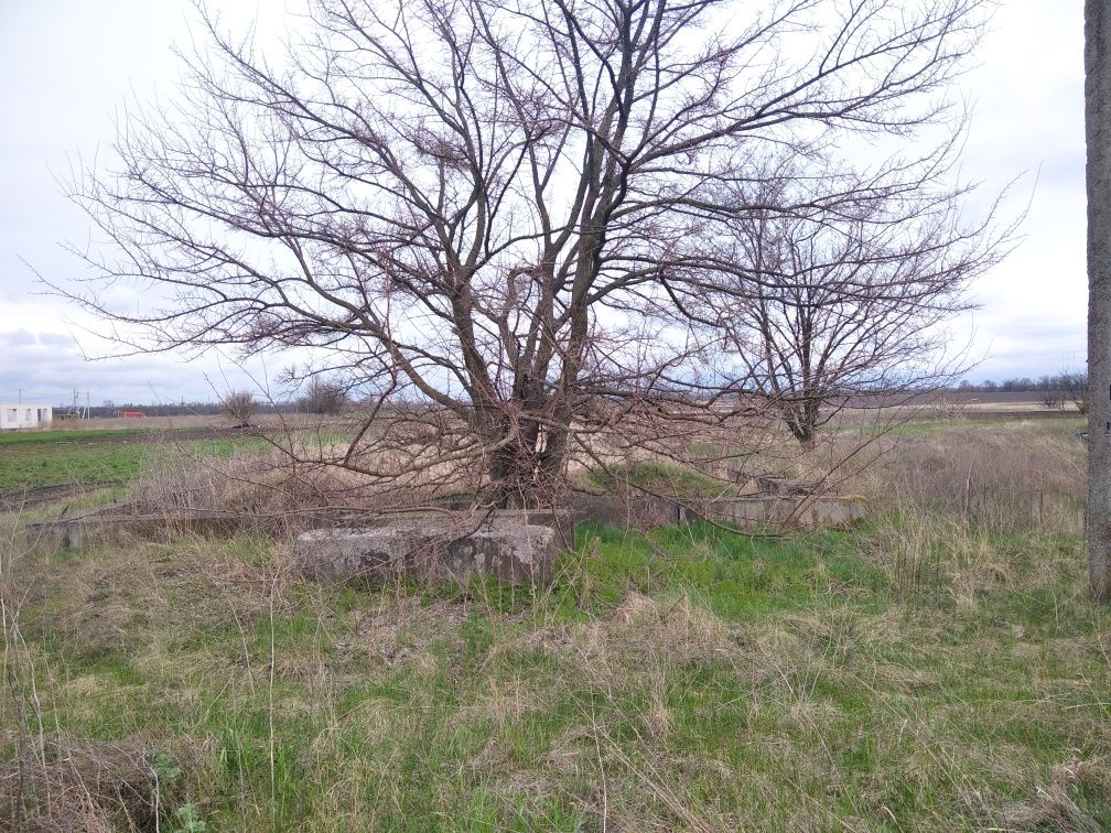 Ділянка під забудову 0,25 га, с.Леськи, Черкаський район