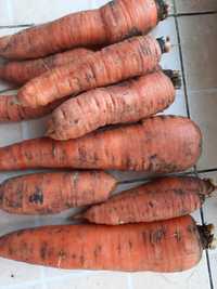 Морква 11 грн за кг