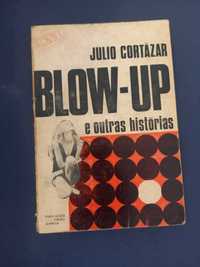 Livro Livro Blow Up e outras histórias