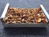 ящики для грибів