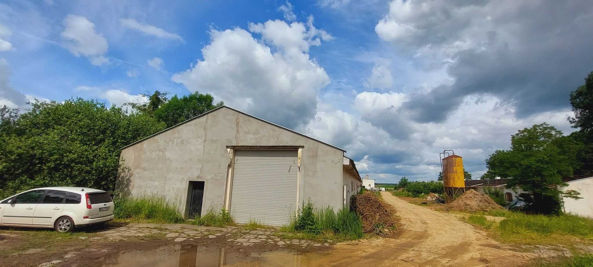 Hala do wynajęcia 360m2