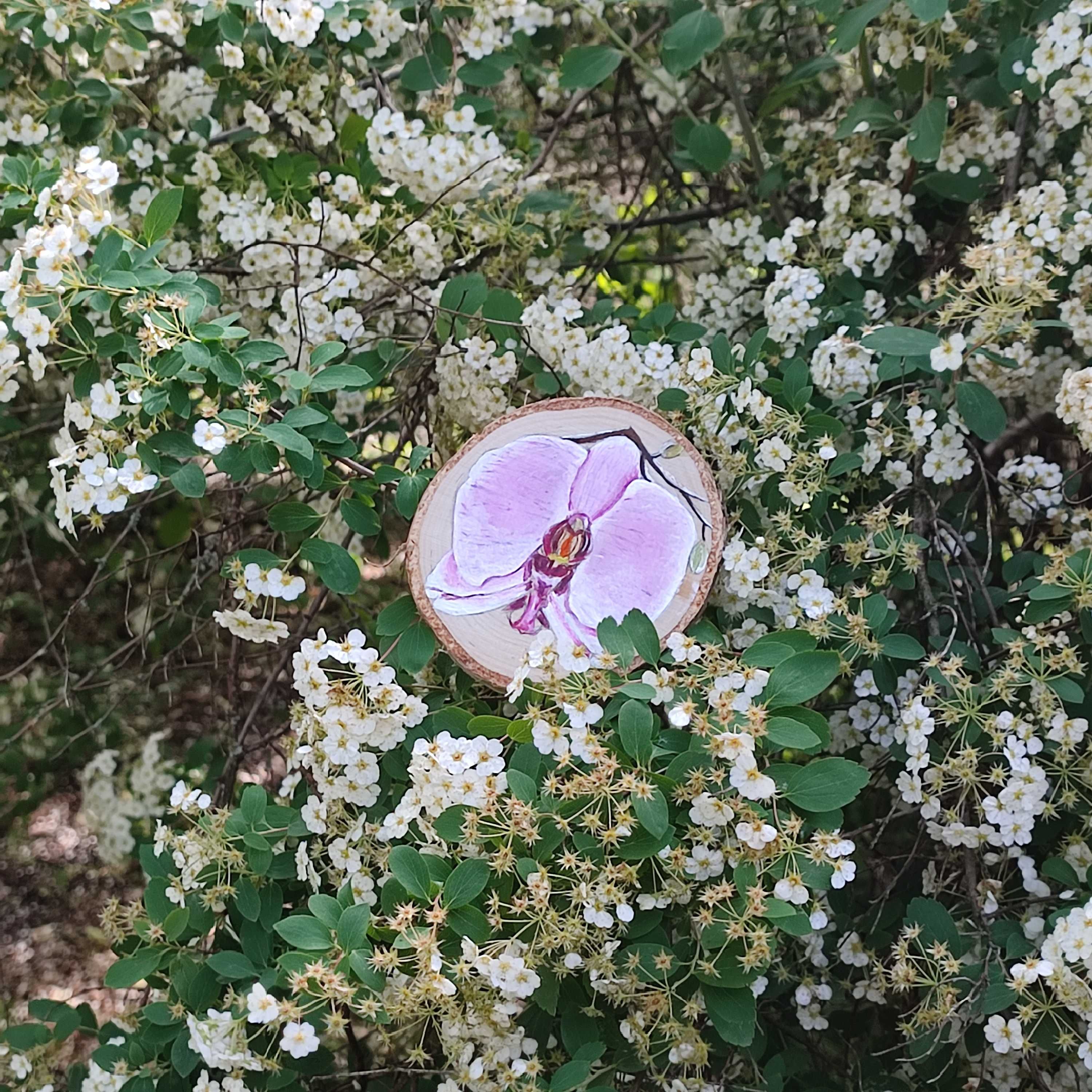 Magnes na lodówkę orchidea