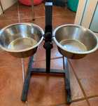 Comedouro e Bebedouro comSuporte  para Cão...