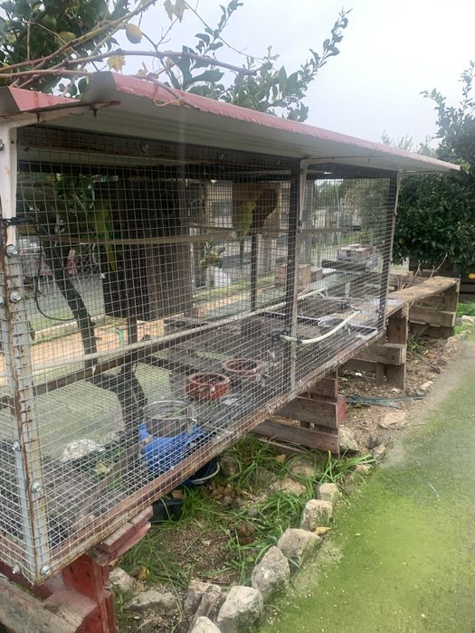 Gaiola para passaros