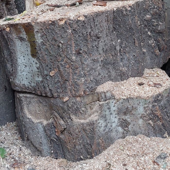 Дрова твёрдых и мягких пород