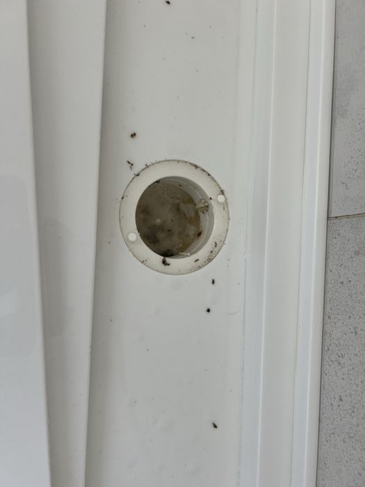 Faco trabalhos domesticos