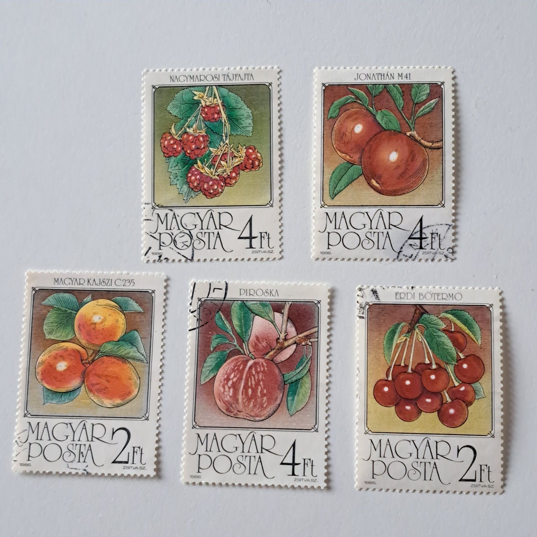 5 węgierskich znaczków pocztowych z motywami owoców (Magyar Posta).