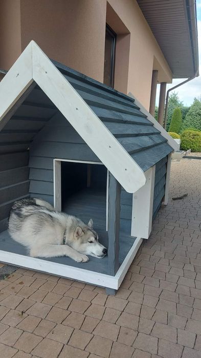 Buda dla psa z tarasem wysyłka cała Pl w całości paleta