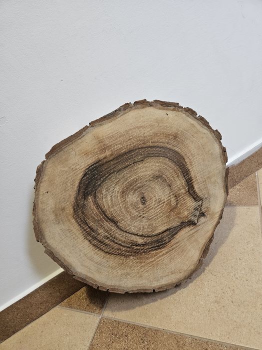 Plaster orzecha włoskiego