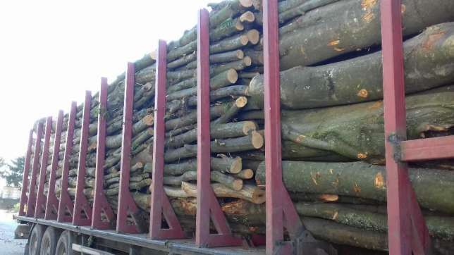 Продам дубові дрова великого поколу