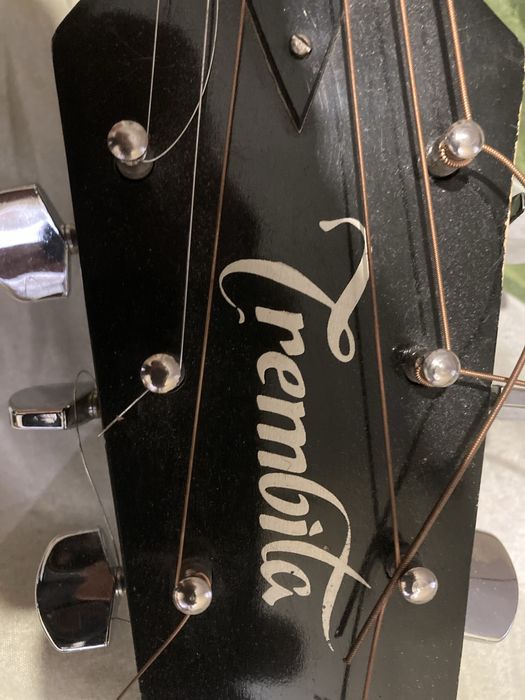 Гитара Trembita з чохлом