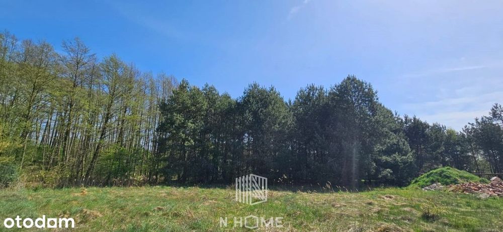 działka koło Twardogóry w otoczeniu lasów