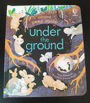Usborne peep inside Under the Ground