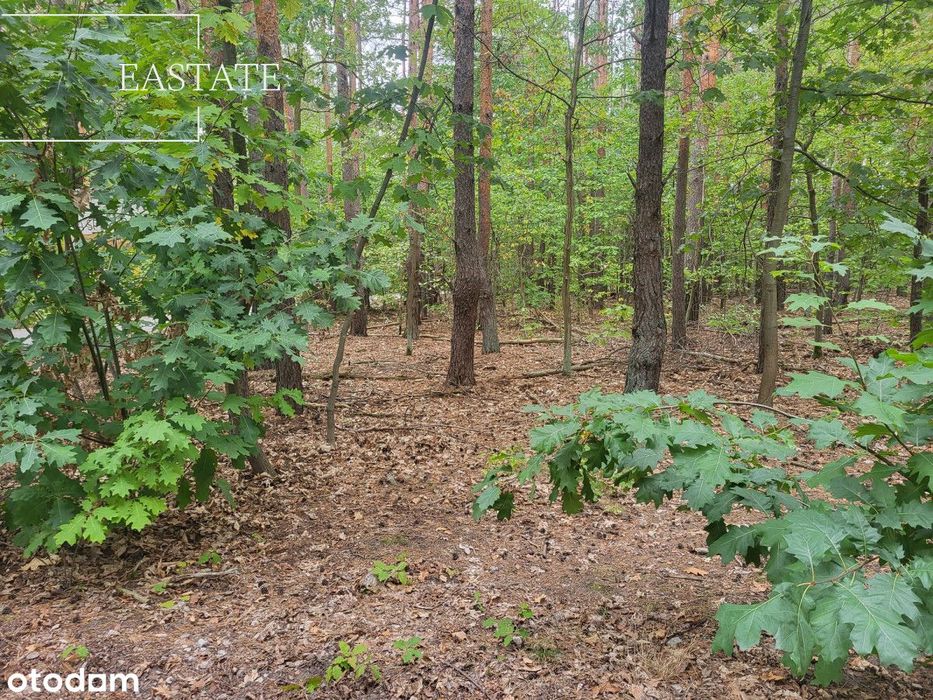 Prestiżowa lokalizacja | świetny dojazd