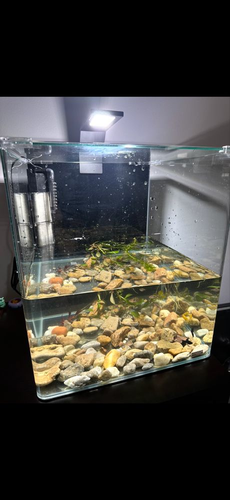 Niemiecky Akwarium NanoCube Basic 60L Dennerle