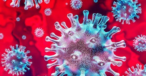 Dezynfekcja Deratyzacja Dezynsekcja Prusaki Pluskwy Bakterie Wirusy