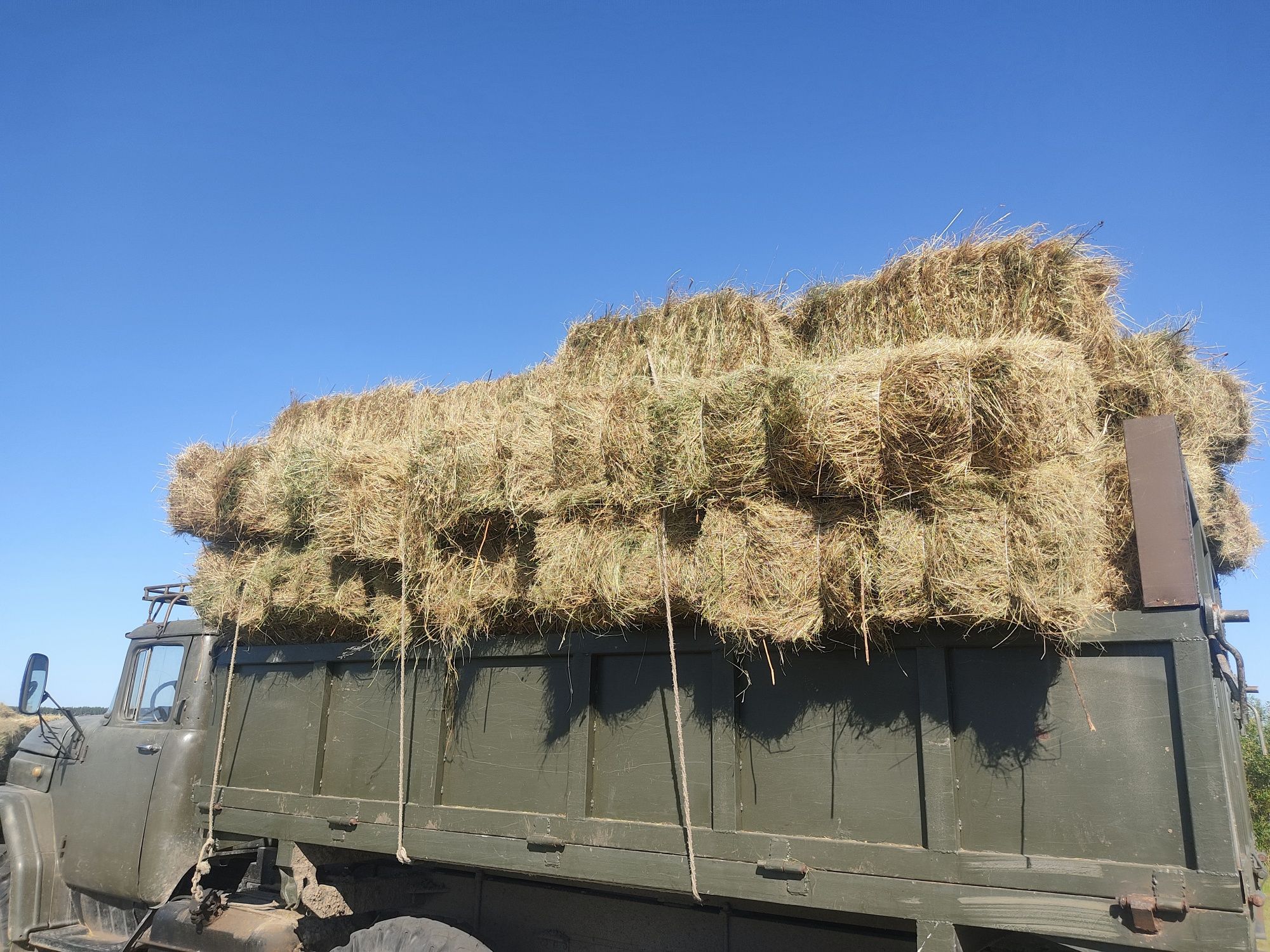 Продам сіно лугове в тюках 2025 і солому в тюках
