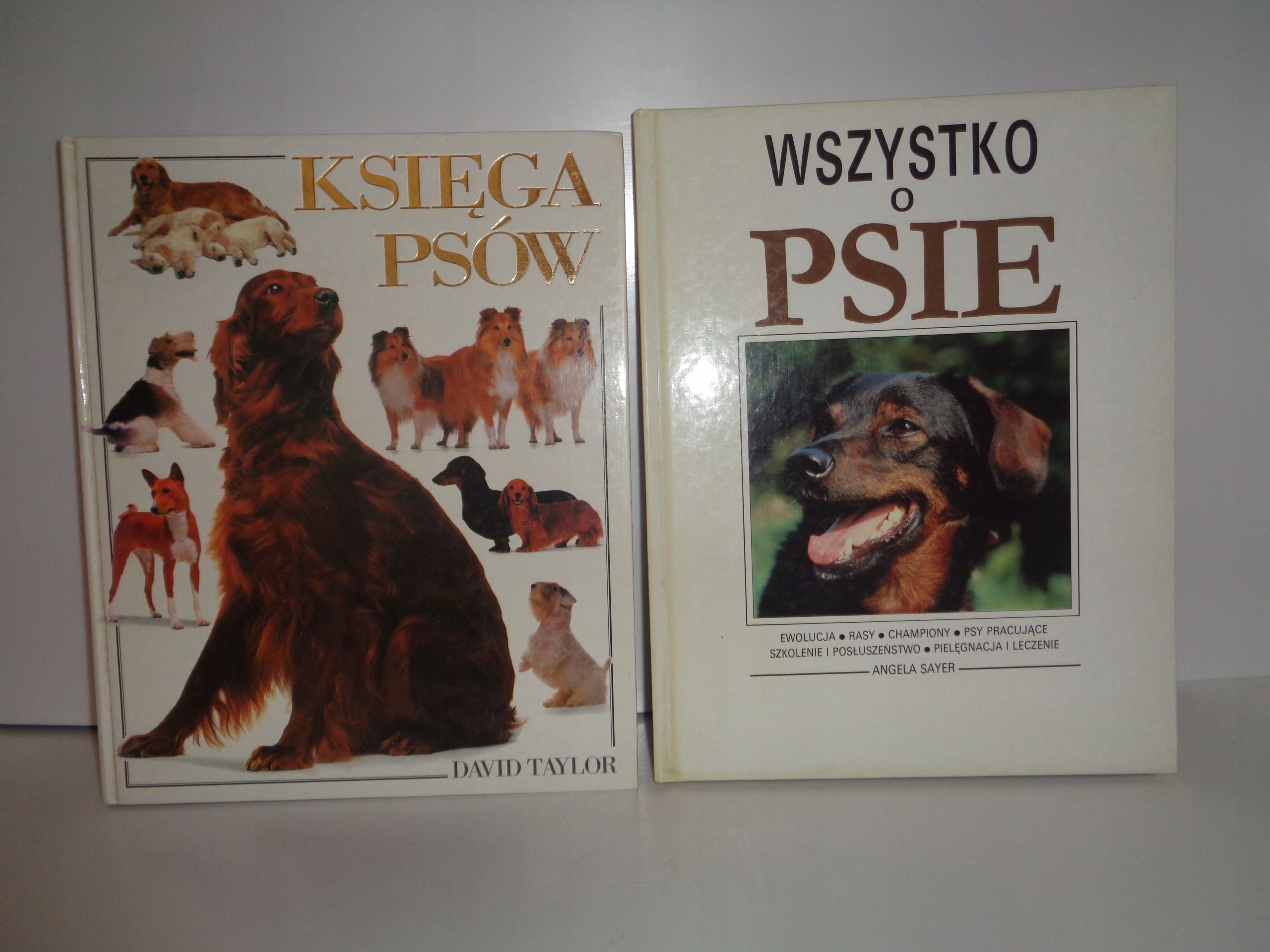 Psy x2: Księga psów David Taylor, Wszystko o psie Angela Sayer
