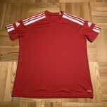 Koszulka męska Adidas Aeroready XL