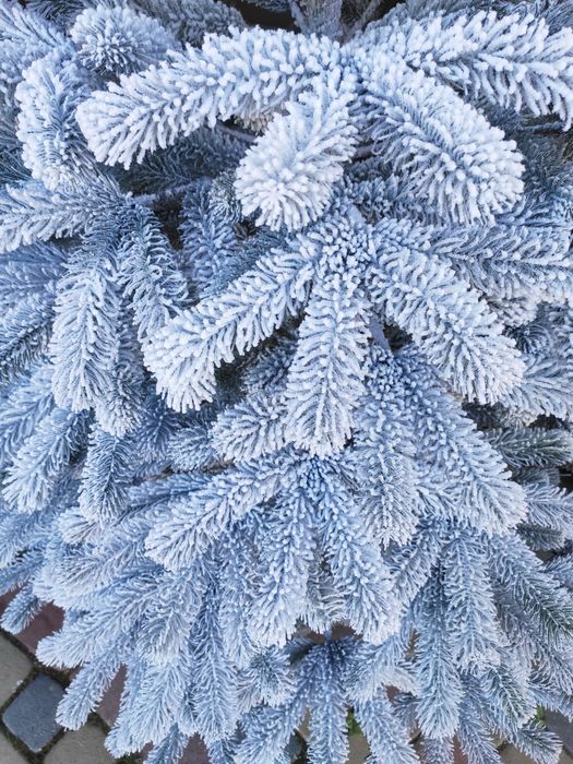 Ялинка лита засніжена Буковельська ялинка штучна якісна ялинка снігова