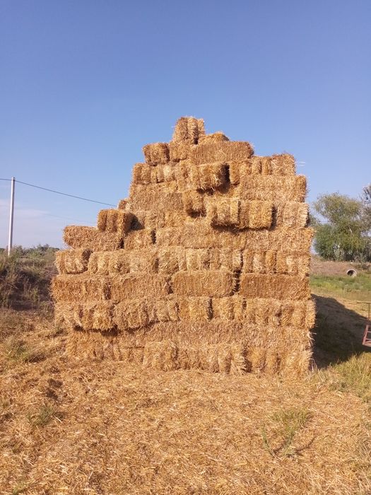 В продаже солома 15-17 кг тюк.пшеница.ячмень