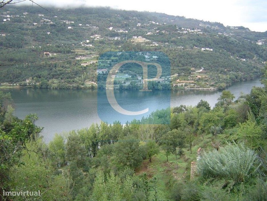 Propriedade em Cinfães do Douro para restauro, Viseu