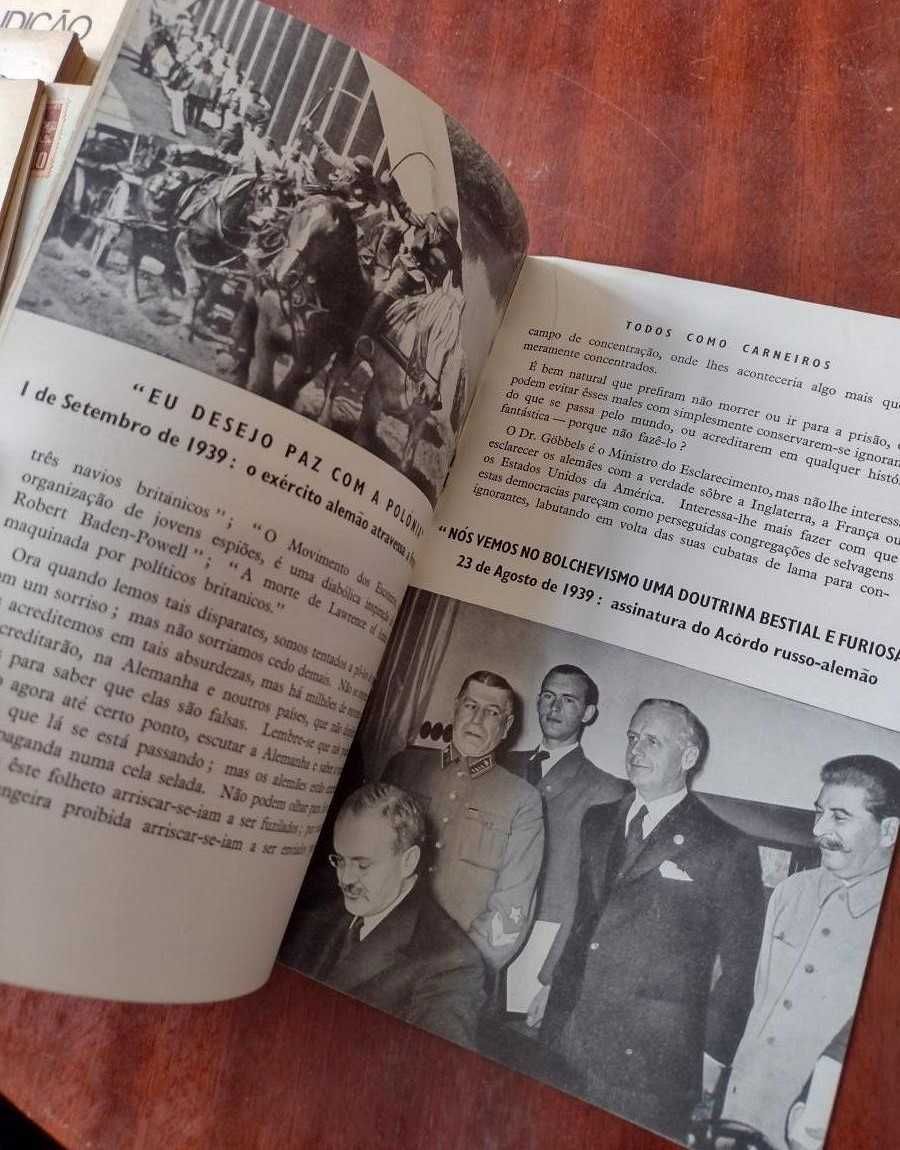 Todos como Carneiros - Howard Spring