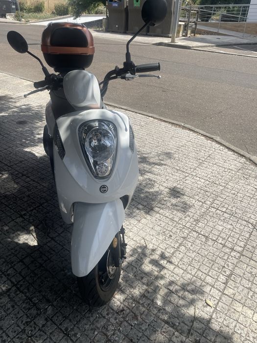 Sym Scotter 110