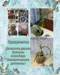 .Цветы Кактусы Красула Алоэ-Вера Суккуленты