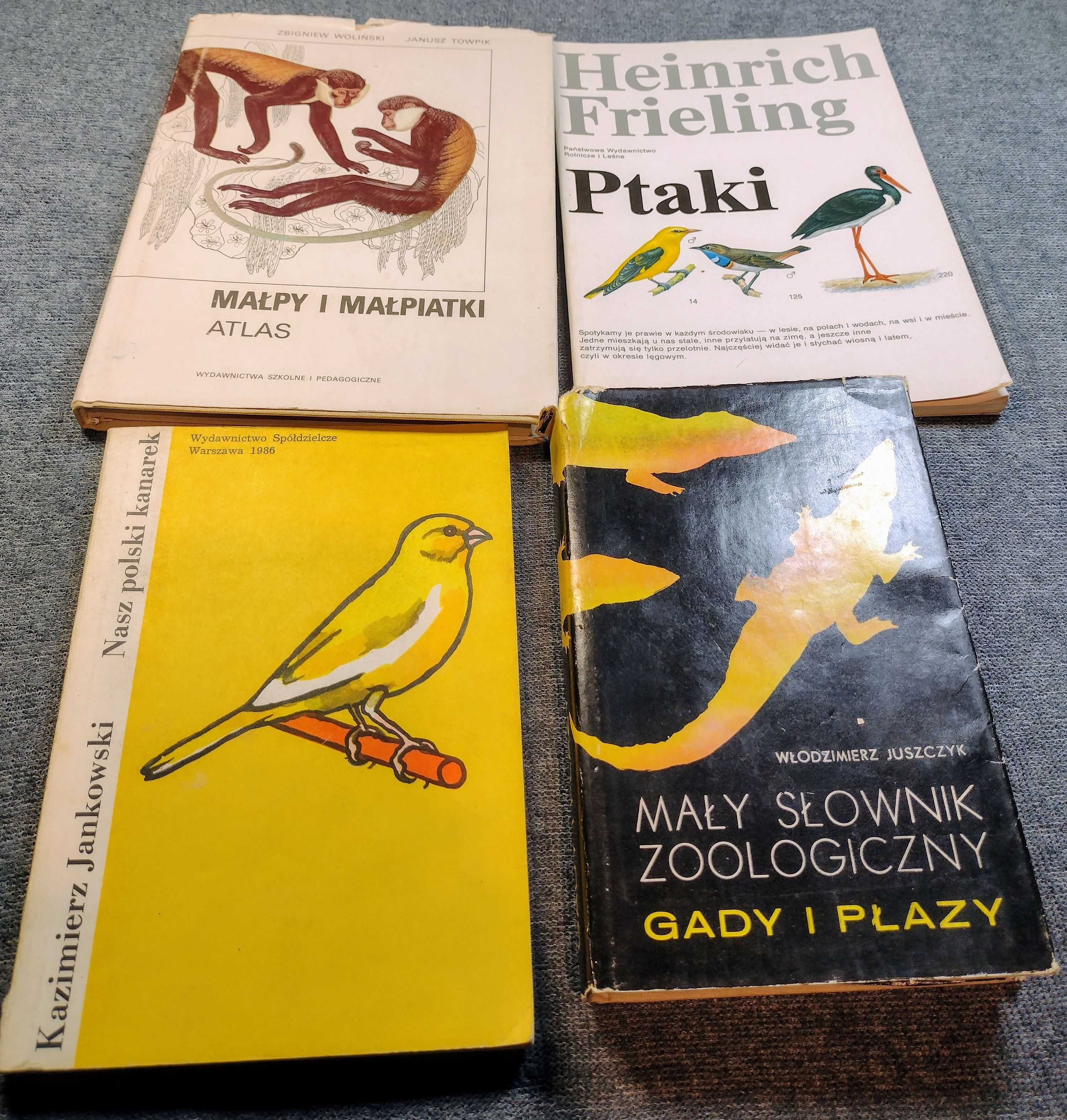 Zestaw Zoologia PTAKI MAŁPY G ADY I PŁAZY 4 książki