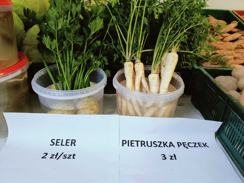 Warzywa od rolnika